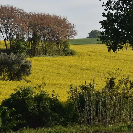 La Collina Nel Cuore Lejlighed Loreto