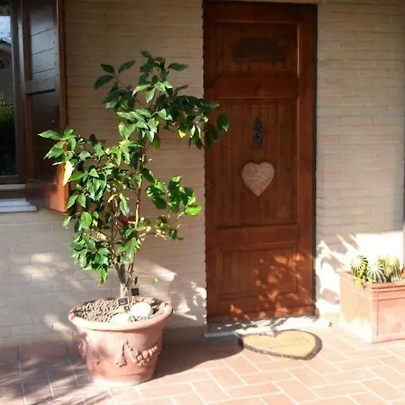 La Collina Nel Cuore