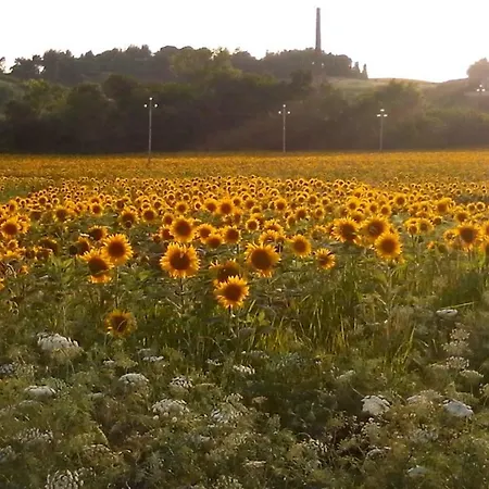 Lejlighed La Collina Nel Cuore *