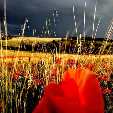 La Collina Nel Cuore Lejlighed *