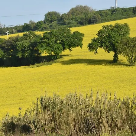 La Collina Nel Cuore 아파트 *
