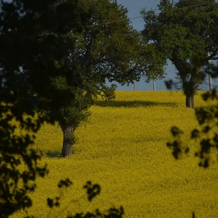 La Collina Nel Cuore