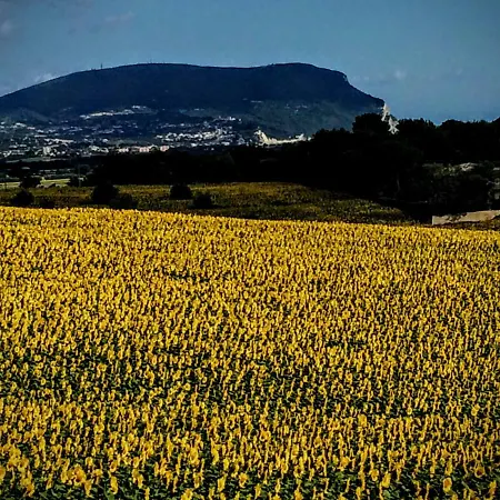 La Collina Nel Cuore * Loreto