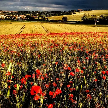 La Collina Nel Cuore